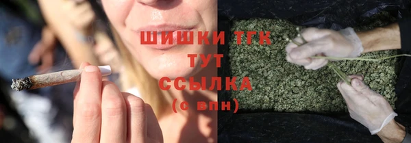стафф Армянск