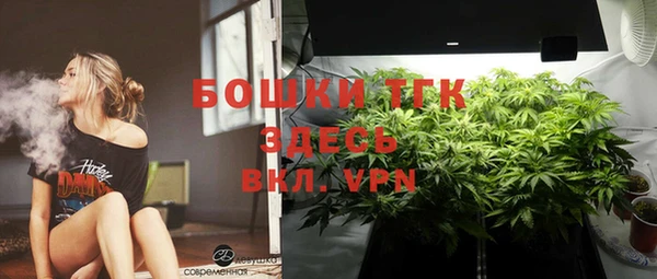 прущая мука Арсеньев
